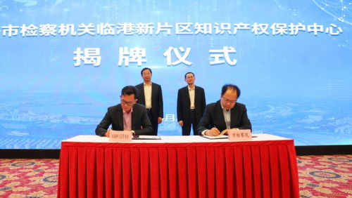 12支專業(yè)辦案團(tuán)隊(duì)入駐上海，深化金融、走私、知識(shí)產(chǎn)權(quán)等領(lǐng)域執(zhí)法服務(wù)